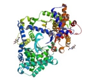 Human Neprilysin 2 (NEP2) ELISA Kit ( Part NEP2-ELISA Biotin) kw: neurosin