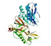 BACE1 ELISA试剂盒，灵敏度为5pg / ml，高灵敏度，快速操作（人类，大鼠或小鼠，β-秘密酶1，B-秘密酶，Beta-Site APP裂解酶1； BACE1-ELISA部分）