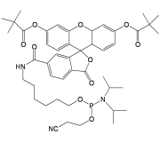 6-FAM Phosphoramidite  | FIVEphoton Biochemicals | Oligonucleotide Synthesis Reagent 6-FAM-Phosphoramidite, FAM Phosphoramidite | HPT1403