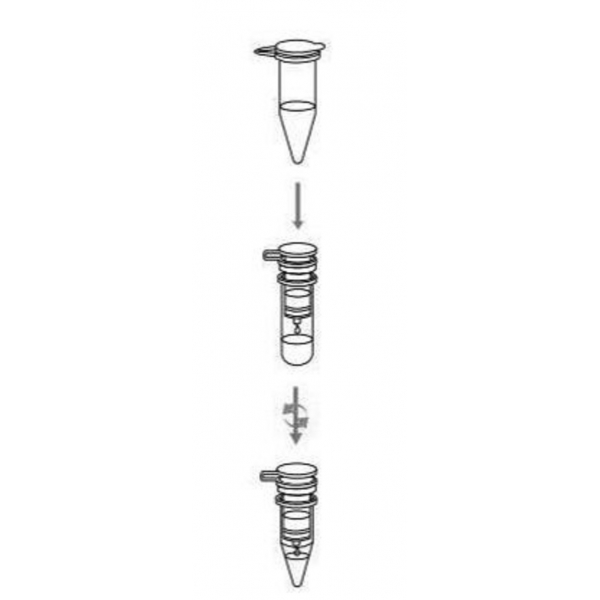 Viral RNA Extraction Spin Column Miniprep Kit (RUO; VT4001 - 100 Preps)